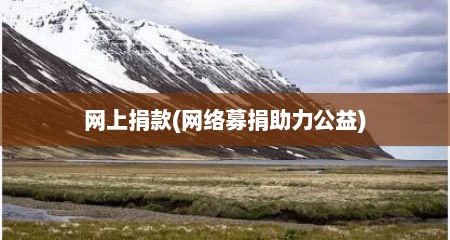 网上捐款(网络募捐助力公益)
