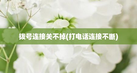 拨号连接关不掉(打电话连接不断)