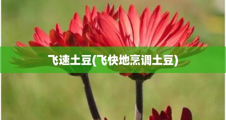 飞速土豆(飞快地烹调土豆)