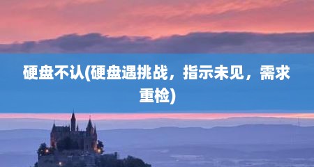 硬盘不认(硬盘遇挑战，指示未见，需求重检)