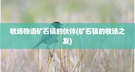 牧场物语矿石镇的伙伴(矿石镇的牧场之友)