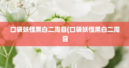 口袋妖怪黑白二周目(口袋妖怪黑白二周目