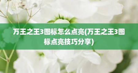 万王之王3图标怎么点亮(万王之王3图标点亮技巧分享)