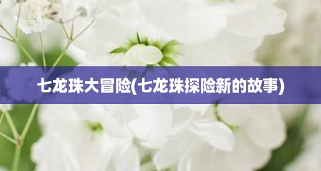 七龙珠大冒险(七龙珠探险新的故事)