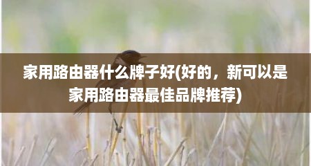 家用路由器什么牌子好(好的，新可以是家用路由器最佳品牌推荐)