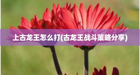 上古龙王怎么打(古龙王战斗策略分享)