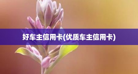 好车主信用卡(优质车主信用卡)