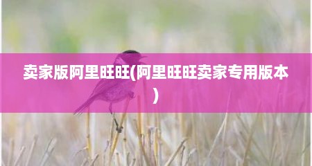 卖家版阿里旺旺(阿里旺旺卖家专用版本)
