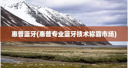 惠普蓝牙(惠普专业蓝牙技术称霸市场)
