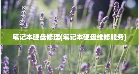 笔记本硬盘修理(笔记本硬盘维修服务)