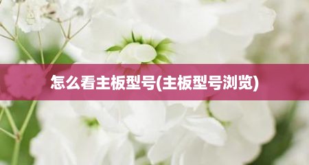 怎么看主板型号(主板型号浏览)