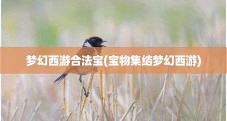 梦幻西游合法宝(宝物集结梦幻西游)