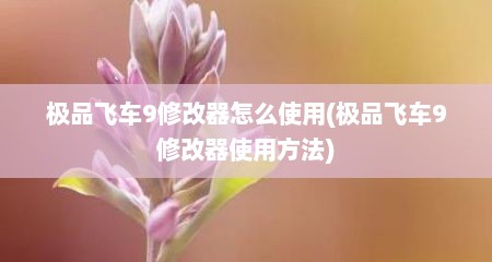 极品飞车9修改器怎么使用(极品飞车9修改器使用方法)