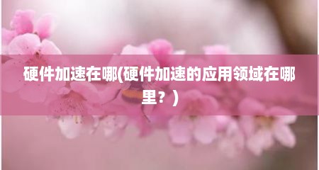硬件加速在哪(硬件加速的应用领域在哪里？)