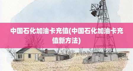 中国石化加油卡充值(中国石化加油卡充值新方法)