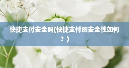 快捷支付安全吗(快捷支付的安全性如何？)