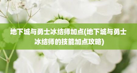 地下城与勇士冰结师加点(地下城与勇士 冰结师的技能加点攻略)