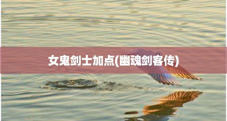 女鬼剑士加点(幽魂剑客传)