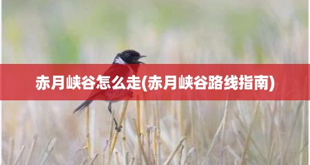 赤月峡谷怎么走(赤月峡谷路线指南)