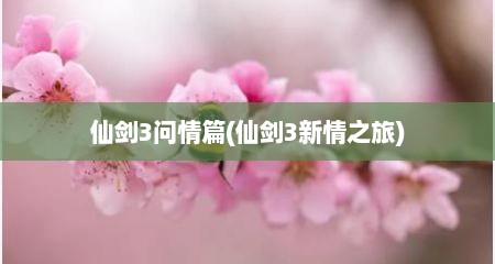 仙剑3问情篇(仙剑3新情之旅)