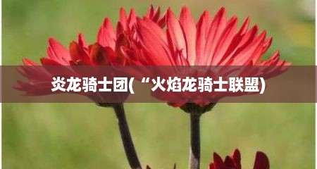 炎龙骑士团(“火焰龙骑士联盟)