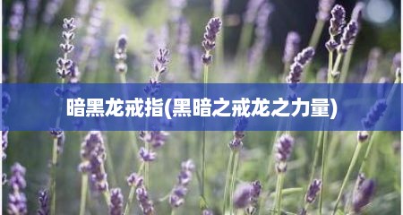 暗黑龙戒指(黑暗之戒龙之力量)