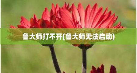 鲁大师打不开(鲁大师无法启动)