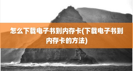 怎么下载电子书到内存卡(下载电子书到内存卡的方法)