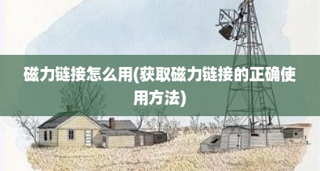 磁力链接怎么用(获取磁力链接的正确使用方法)