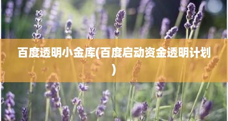百度透明小金库(百度启动资金透明计划)