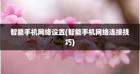 智能手机网络设置(智能手机网络连接技巧)