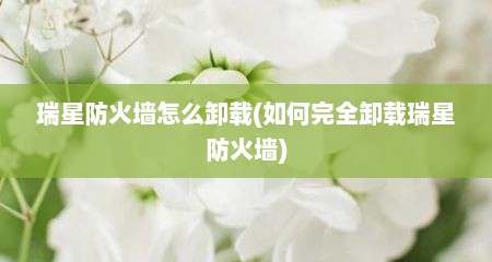 瑞星防火墙怎么卸载(如何完全卸载瑞星防火墙)