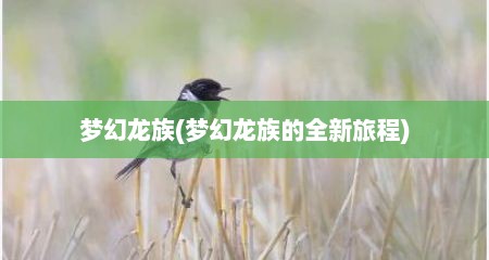 梦幻龙族(梦幻龙族的全新旅程)