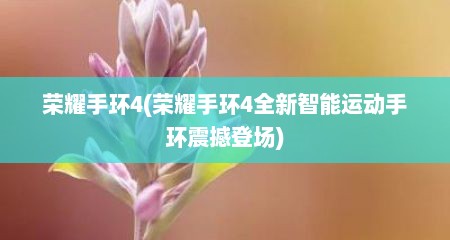 荣耀手环4(荣耀手环4全新智能运动手环震撼登场)