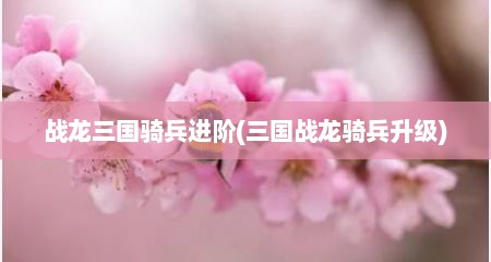 战龙三国骑兵进阶(三国战龙骑兵升级)