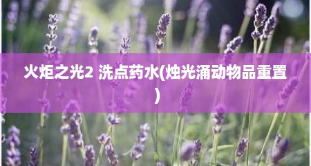 火炬之光2 洗点药水(烛光涌动物品重置 )