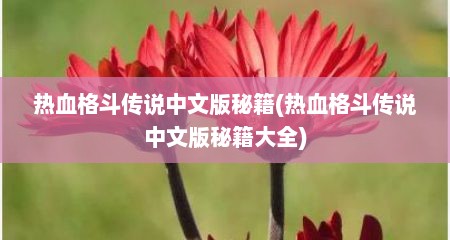 热血格斗传说中文版秘籍(热血格斗传说中文版秘籍大全)