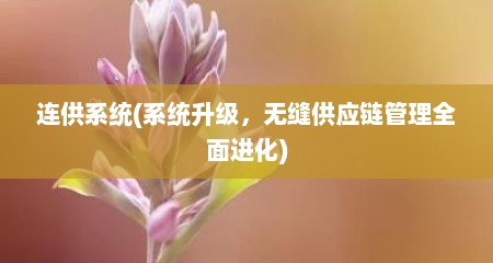 连供系统(系统升级，无缝供应链管理全面进化)