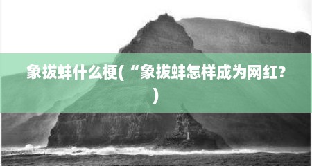 象拔蚌什么梗(“象拔蚌怎样成为网红？)