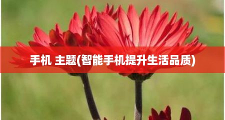 手机 主题(智能手机提升生活品质)