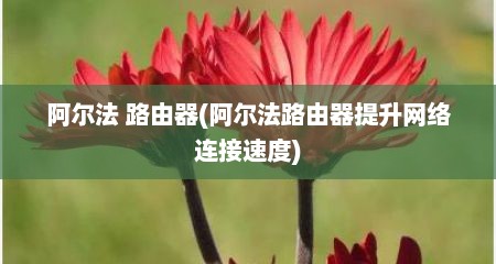 阿尔法 路由器(阿尔法路由器提升网络连接速度)