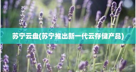 苏宁云盘(苏宁推出新一代云存储产品)