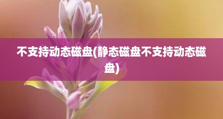 不支持动态磁盘(静态磁盘不支持动态磁盘)