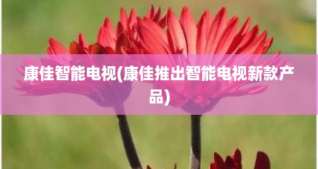 康佳智能电视(康佳推出智能电视新款产品)