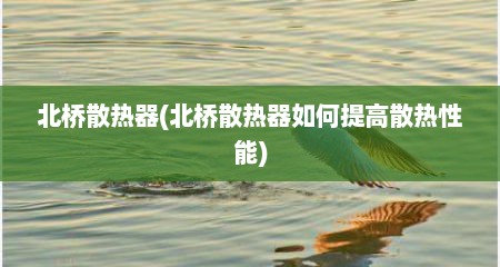 北桥散热器(北桥散热器如何提高散热性能)