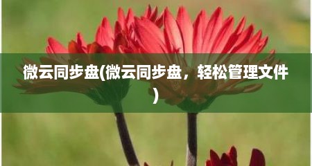 微云同步盘(微云同步盘，轻松管理文件)
