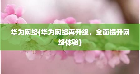 华为网络(华为网络再升级，全面提升网络体验)