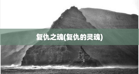 复仇之魂(复仇的灵魂)