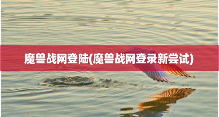 魔兽战网登陆(魔兽战网登录新尝试)
