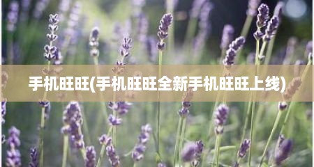 手机旺旺(手机旺旺全新手机旺旺上线)